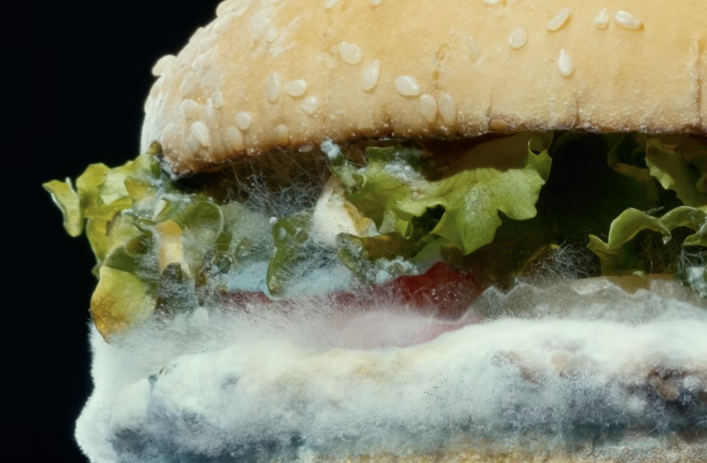 Moldy Whopper